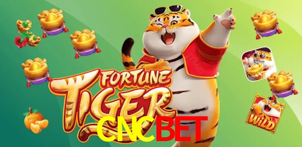 Game Statistics CNCBET