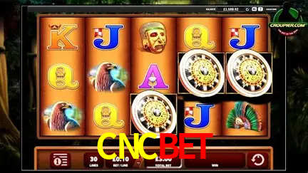 Cadastro rápido e seguro na CNCBET