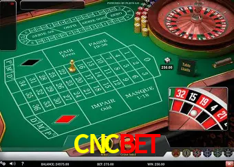 Cassino ao vivo com dealers reais na CNCBET
